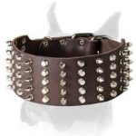 Best Collar For Boxer With Spikes And Pyramids
