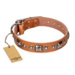 "Era of Future" FDT Artisan Handcrafted Tan Leather Boxer Collar with Decorations