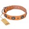 "Twinkle Twinkle" FDT Artisan Incredible Studded Tan Leather Boxer Collar