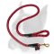 Stylish nylon Boxer leash for training