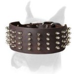 Fancy wide Boxer collar with spikes