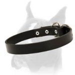 Wide and Comfortable Boxer Leather Dog Collar