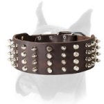 Posh leather Boxer collar with spikes and pyramids