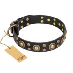 'Baroque Chic' FDT Artisan Studded Black Leather Boxer Dog Collar