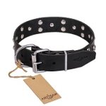 FDT Artisan 'Mystic Skulls' Decorated Leather Boxer Dog Collar with Skulls and Studs 1 1/2 inch (40 mm)