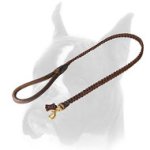 Braided Boxer Leash for Training and Walking