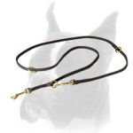 Multifunctional Boxer Leash for Training and Walking