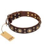 'Flower Melody' FDT Artisan Brown Leather Dog Collar with Mixed Studs for Boxer Dog Walking