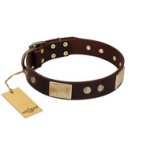 "Middle Age" FDT Artisan Brown Leather Boxer Collar with Old Bronze-Plated Engraved Flowers and Large Plates