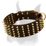 Boxer Dog Leather Collar with Incredible Number of Spikes