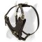 Exclusive Handcrafted Boxer Dog Harness for Successful training