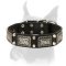 Perfect Leather Collar With Nickel Pyramids And Plates For Boxer