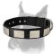 Nylon Dog Collar With Vintage Plates for Boxer