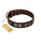"Needle Stories" Modern FDT Artisan Brown Leather Boxer Collar with Square Engraved Plates and Four-Point Stars