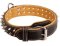 Fantastic Leather Collar Decorated with Spikes for Boxer