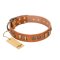 "Natural Beauty" FDT Artisan Tan Leather Boxer Collar with Old Bronze-like Circles and Plates