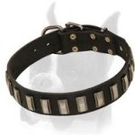 Decorated with metal plates Dog Collar for Boxer Breed
