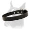 Wide and Comfortable Boxer Leather Dog Collar
