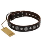 "Victory Ode" FDT Artisan Brown Leather Boxer Collar with Silver-like Plated Decorations