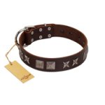 "Needle Stories" Modern FDT Artisan Brown Leather Boxer Collar with Square Engraved Plates and Four-Point Stars