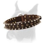 Boxer Spiked & Studded Dog Collar 1 1/2 inch wide