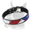 Handcrafted American Flag Leather Dog Collar for Boxer