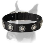 Nylon Dog Collar with Silver Conchos for all-weather walks and training
