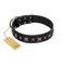 "Polar Lights" Designer FDT Artisan Black Leather Boxer Collar with Silver-Like Studs