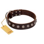 "Lucky Silver" Designer Handmade FDT Artisan Brown Leather Boxer Collar