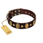 "Retro Pusle" FDT Artisan Brown Leather Boxer Collar with Old Bronze-like Studs and Oval Brooches