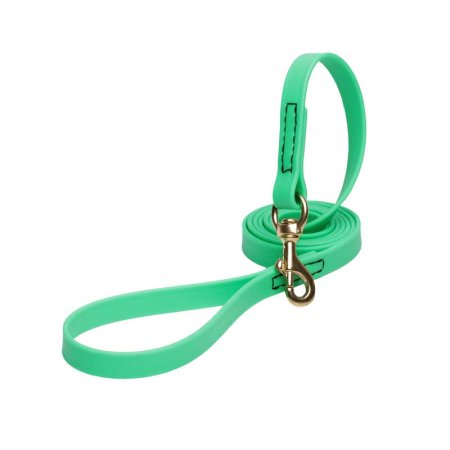 Green Waterproof Boxer Leash Made of Biothane