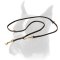 Multifunctional Boxer Leash for Training and Walking