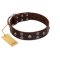 "Skull Valley" Handcrafted FDT Artisan Brown Leather Boxer Collar with Skulls
