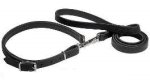 Leather Combo Leash and Collar for Boxer Hunting/Police Work