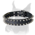 Posh leather Boxer collar decorated with spikes