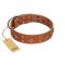 "Dreamy Gleam" FDT Artisan Tan Leather Boxer Collar Adorned with Stars and Squares