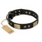 "Spanish night" FDT Artisan Fashionable Leather Walking Boxer Collar
