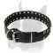 Boxer Leather Collar "Caterpillar" Ornated With Studs