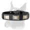 Handcrafted Leather Dog Collar with Massive Nickel Plates