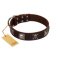 "Nut-Brown Finery" Embellished FDT Artisan Brown Leather Boxer Collar with Chrome Plated Crossbones and Plates