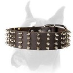 Perfect wide leather spiked dog collar for Boxer