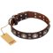 'Age of Beauty' FDT Artisan Incredible Studded Brown Leather Boxer Collar