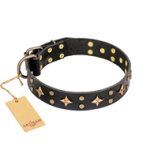 'A La Mode' FDT Artisan Stylish Handmade Black Leather Boxer Collar