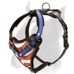 Hand Painted Leather Boxer Harness for Attack/Agitation Training