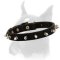 A Perfect Spiked Leather Collar for Boxer