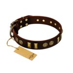 "Golden Elegance" FDT Artisan Brown Leather Boxer Collar with Old Bronze-like Decorations