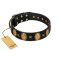 "Doggie Woggie" Designer Handmade FDT Artisan Black Leather Boxer Collar with Ovals and Studs
