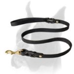 Multitask Braided Leather Leash for Boxer