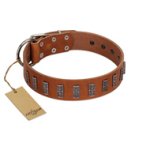 "Silver Century" Fashionable FDT Artisan Tan Leather Boxer Collar with Silver-Like Plates