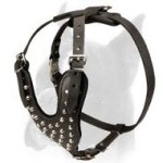 Boxer Leather Dog Harness with Metal Decoration